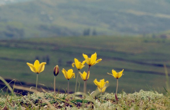 没有围墙的实验室便是一种心连心幸福教育的新式教育实践